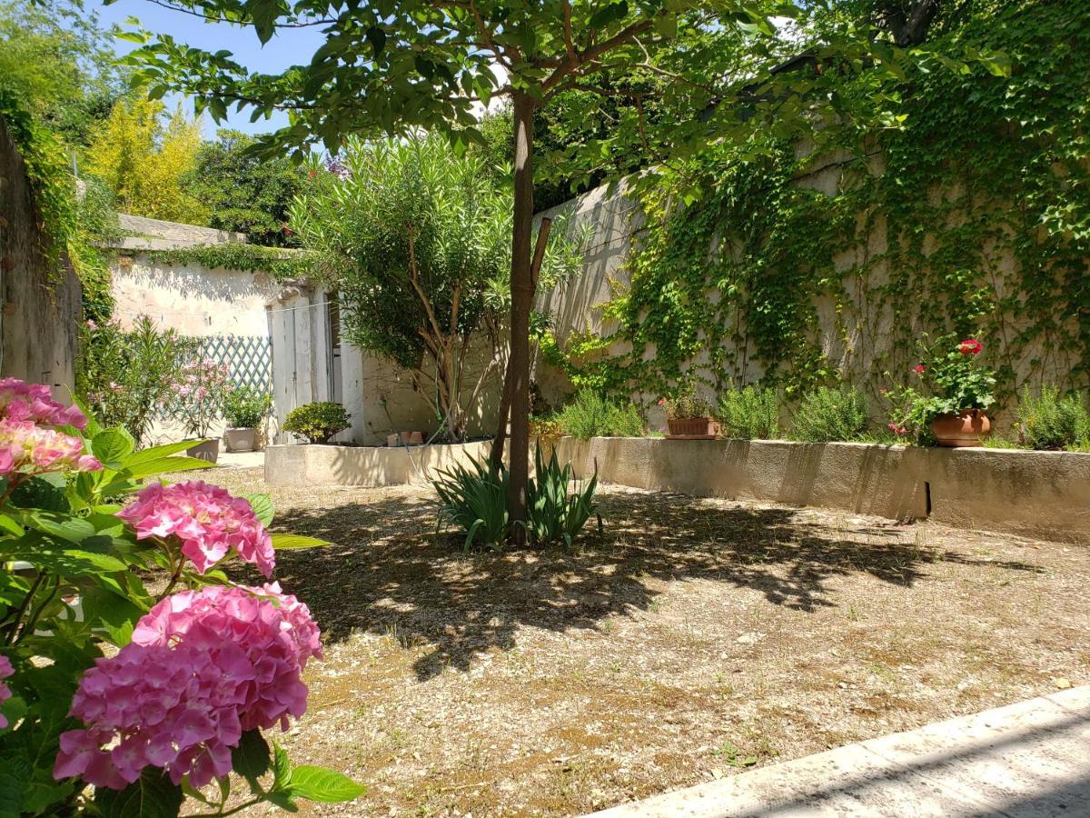 Appartement Au Coeur De Cassis Avec Jardin Экстерьер фото